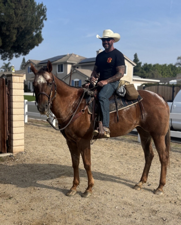 HorseID: 2318079 Milk n Honey - PhotoID: 1105019