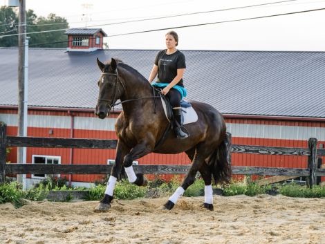 HorseID: 2318089 Rikki - PhotoID: 1105035