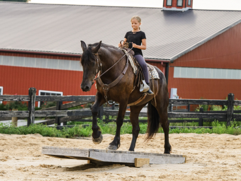 HorseID: 2318089 Rikki - PhotoID: 1105036