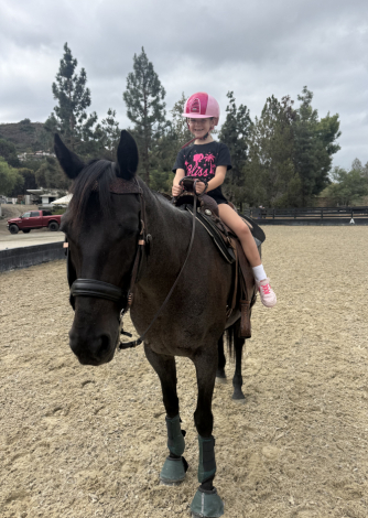 HorseID: 2318092 Twilight - PhotoID: 1105040