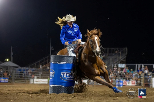 HorseID: 2318111 EZ Ride Ta Vegas - PhotoID: 1105057