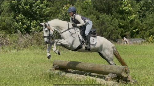 HorseID: 2318128 Georgiana OSF - PhotoID: 1105077