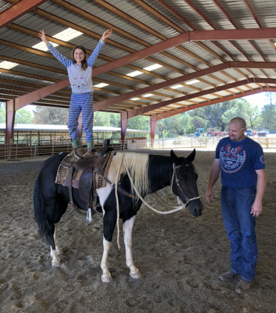 HorseID: 2318138 RCR Tabus Legal Knight - PhotoID: 1105091
