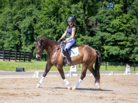 HorseID: 2318141 Ripley - PhotoID: 1105087