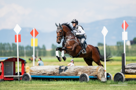 HorseID: 2318145 Foxhall Winston - PhotoID: 1105349