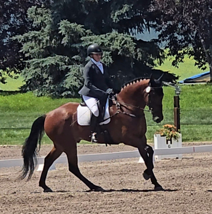 HorseID: 2318145 Foxhall Winston - PhotoID: 1105350