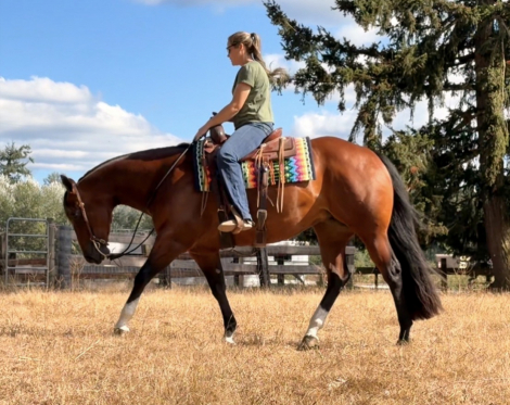 HorseID: 2318154 One Hott Mess - PhotoID: 1105202