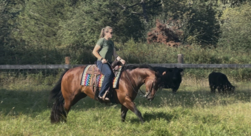 HorseID: 2318154 One Hott Mess - PhotoID: 1105203