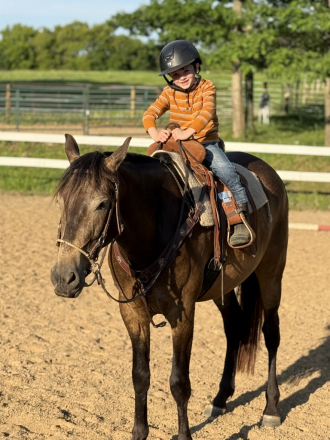 HorseID: 2318162 Khonshu BPF - PhotoID: 1105106