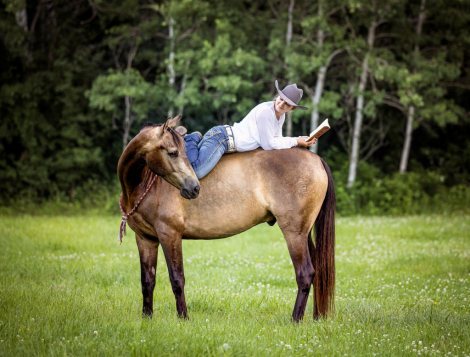HorseID: 2318162 Khonshu BPF - PhotoID: 1105107