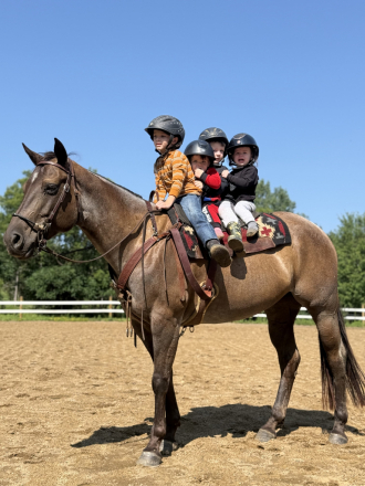 HorseID: 2318164 Flings In Bars - PhotoID: 1105110