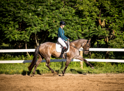 HorseID: 2318164 Flings In Bars - PhotoID: 1105111