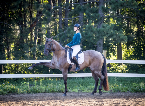 HorseID: 2318164 Flings In Bars - PhotoID: 1105112