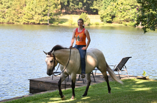 HorseID: 2318179 JCI Bucks Lil Light - PhotoID: 1105121