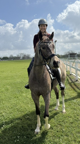 HorseID: 2318196 Sansibar - PhotoID: 1105178