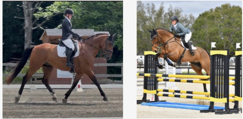 Fernhill Quality Vision