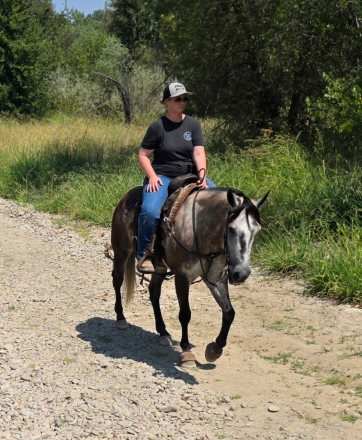HorseID: 2318224 Armani - PhotoID: 1105221