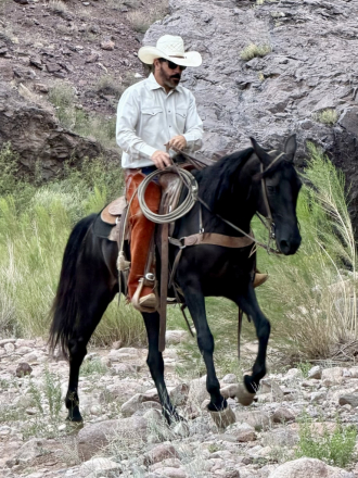 HorseID: 2318233 Sadie - PhotoID: 1105231