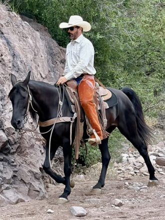 HorseID: 2318233 Sadie - PhotoID: 1105232