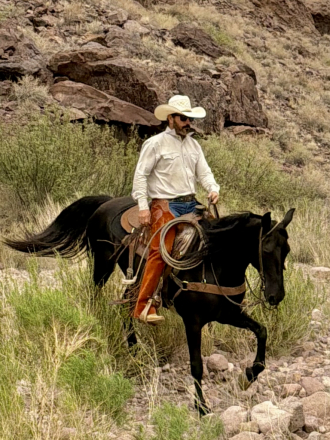 HorseID: 2318233 Sadie - PhotoID: 1105233