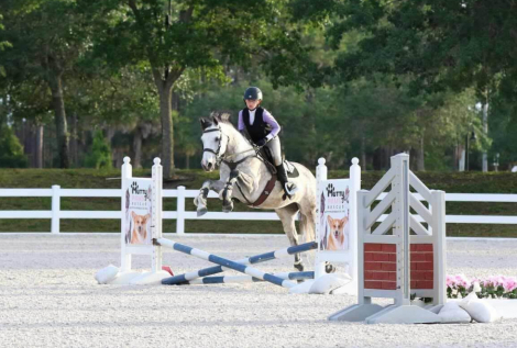 HorseID: 2318268 Idlewilds Incorigible Z Twist (Cora) - PhotoID: 1105274