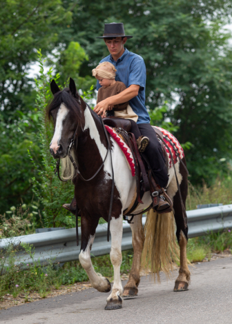 HorseID: 2318271 Avonna - PhotoID: 1105288