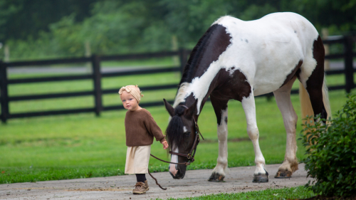 HorseID: 2318271 Avonna - PhotoID: 1105289