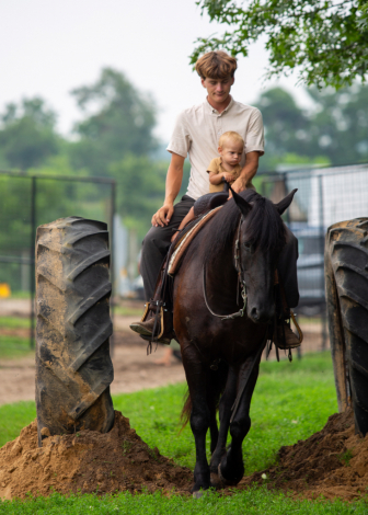 HorseID: 2318273 Cashmere’s Miss Tyra - PhotoID: 1105293