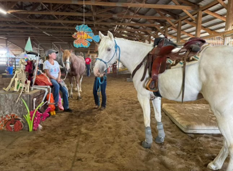 HorseID: 2318275 Renegades White Cloud - PhotoID: 1105251