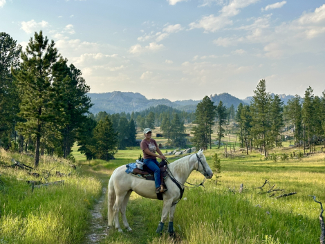 HorseID: 2318275 Renegades White Cloud - PhotoID: 1105253