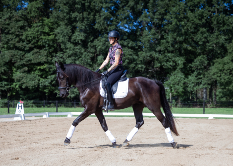 HorseID: 2318317 Let R Rip - PhotoID: 1105311
