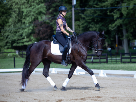 HorseID: 2318317 Let R Rip - PhotoID: 1105313