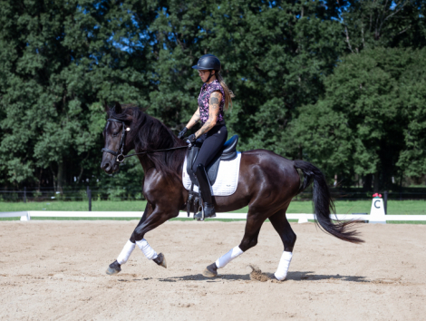 HorseID: 2318317 Let R Rip - PhotoID: 1105314
