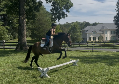 HorseID: 2318330 Armani - PhotoID: 1105334