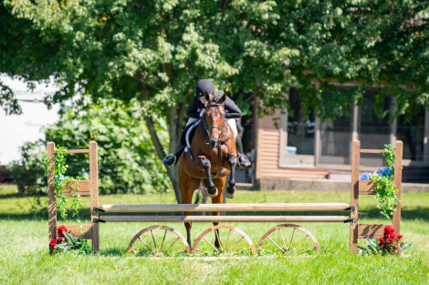 HorseID: 2318339 Ninetynine Excuses - PhotoID: 1105338