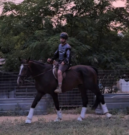 HorseID: 2318340 Divine Destiny - PhotoID: 1105347