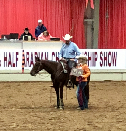 HorseID: 2318349 Jubilee - PhotoID: 1105358