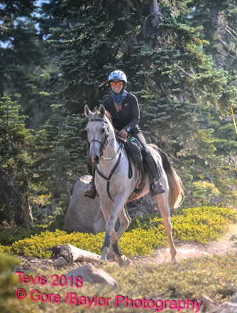 HorseID: 2318349 Jubilee - PhotoID: 1105359