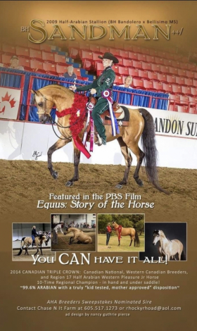 HorseID: 2318350 Lilly - PhotoID: 1105362