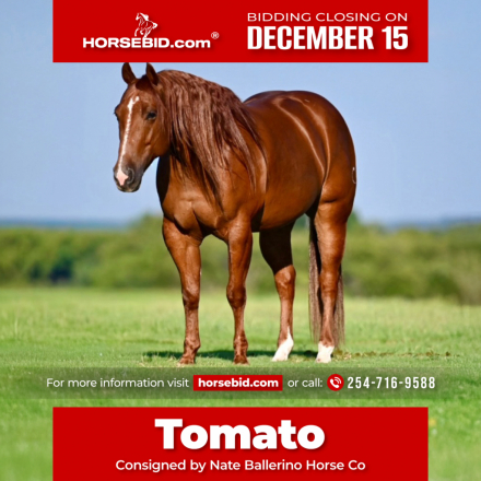 HorseID: 2246616 Dealin In Metallic - PhotoID: 1036978