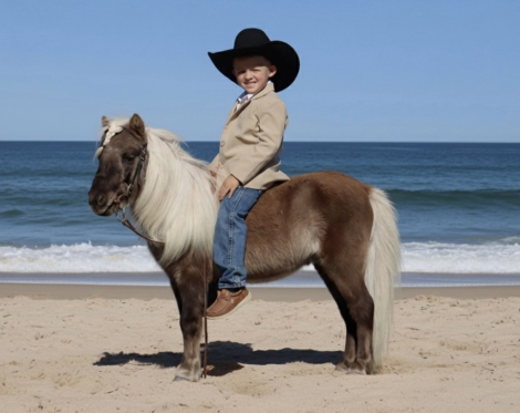 HorseID: 2246726 Jesse James - PhotoID: 1045893