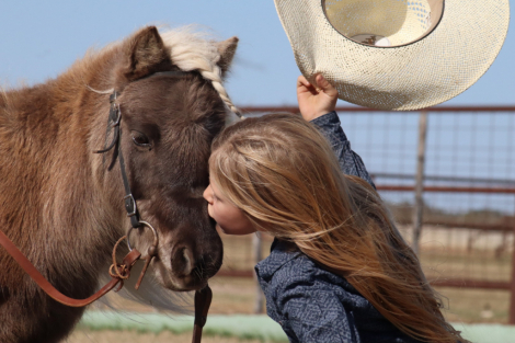 HorseID: 2246726 Jesse James - PhotoID: 1045894