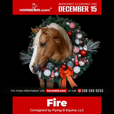 HorseID: 2247445 Spot A Fire Water - PhotoID: 1042257