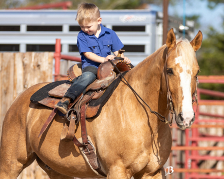 HorseID: 2247445 Spot A Fire Water - PhotoID: 1068830