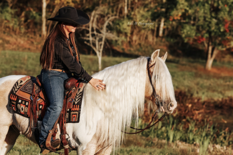 HorseID: 2247446 Roscoe - PhotoID: 1042236