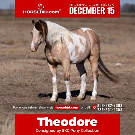 HorseID: 2247450 Theodore - PhotoID: 1033506