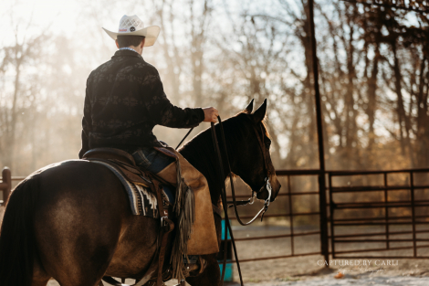 HorseID: 2247451 HQH A GREEDY RIO - PhotoID: 1045926