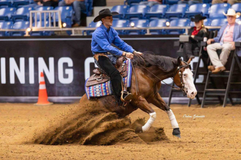 HorseID: 2247452 Fancys Shining Gun - PhotoID: 1050212