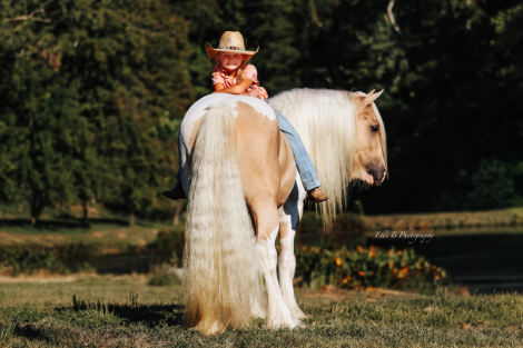 HorseID: 2247454 Roscoe - PhotoID: 1089906