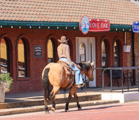 HorseID: 2249908 HF THE BEAST - PhotoID: 1077838